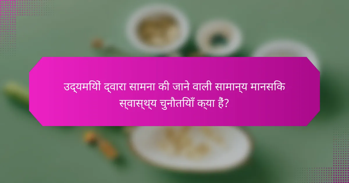 उद्यमियों द्वारा सामना की जाने वाली सामान्य मानसिक स्वास्थ्य चुनौतियाँ क्या हैं?