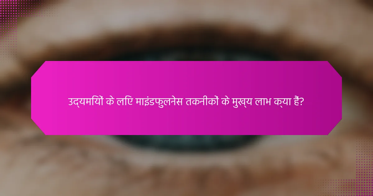 उद्यमियों के लिए माइंडफुलनेस तकनीकों के मुख्य लाभ क्या हैं?