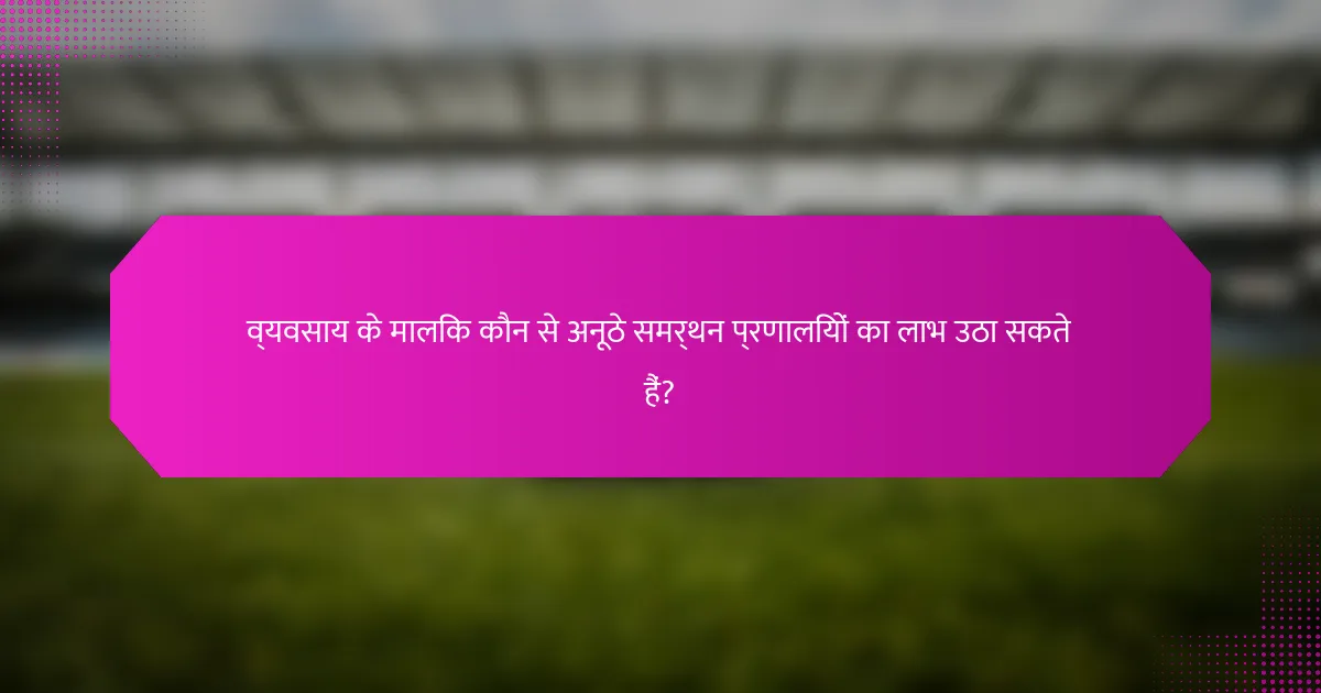 व्यवसाय के मालिक कौन से अनूठे समर्थन प्रणालियों का लाभ उठा सकते हैं?
