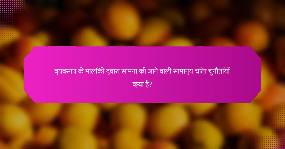 व्यवसाय के मालिकों द्वारा सामना की जाने वाली सामान्य चिंता चुनौतियाँ क्या हैं?