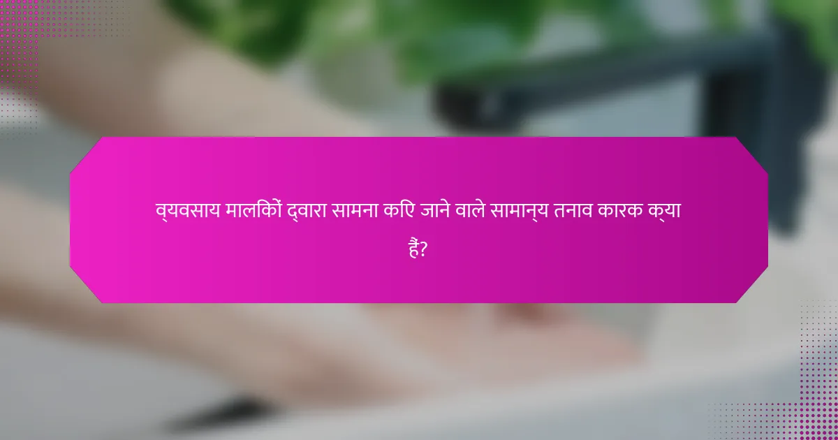 व्यवसाय मालिकों द्वारा सामना किए जाने वाले सामान्य तनाव कारक क्या हैं?