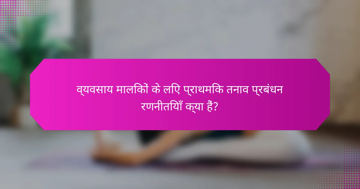व्यवसाय मालिकों के लिए प्राथमिक तनाव प्रबंधन रणनीतियाँ क्या हैं?
