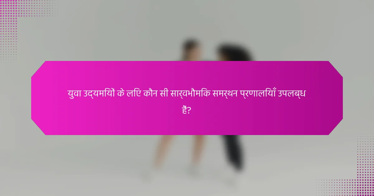 युवा उद्यमियों के लिए कौन सी सार्वभौमिक समर्थन प्रणालियाँ उपलब्ध हैं?
